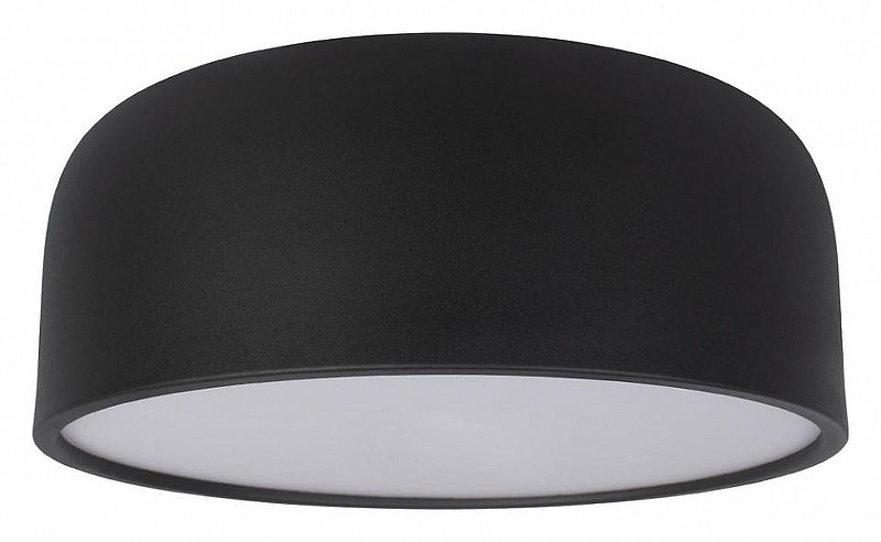 Накладной светильник Loft it Axel 10201/350 Black 