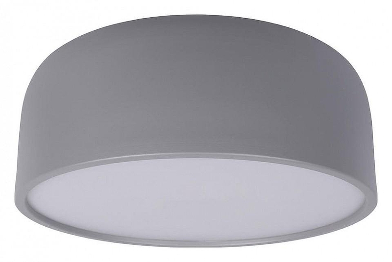 Накладной светильник Loft it Axel 10201/350 Grey 