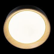 Накладной светильник Loft it Co1n 10202 Black цвет плафона/подвески Белый, Коричневый, Черный, цвет арматуры Черный-4