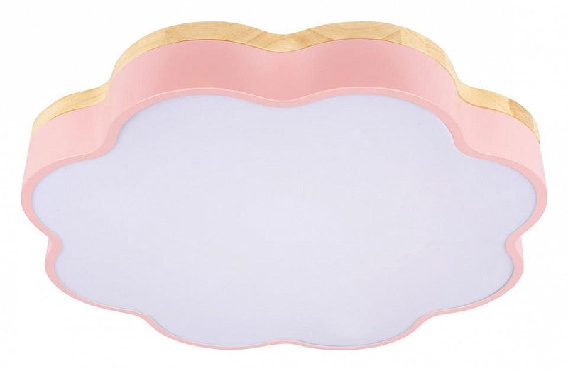 Накладной светильник Loft it Axel 10225/36 Pink 