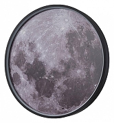Накладной светильник Escada Planet 10226/SG LED Mars цвет плафона/подвески Серый, цвет арматуры Серый-1