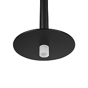 Подвесной светильник Loft it Reed 10358/830 Disk цвет плафона/подвески Белый, Черный, цвет арматуры Черный-8