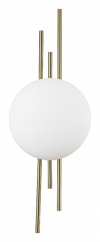 Накладной светильник Indigo Astro 14007/1W Brass 