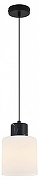 Подвесной светильник Escada Lord 2133/1S цвет плафона/подвески Белый, цвет арматуры Черный-1