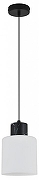 Подвесной светильник Escada Lord 2133/1S цвет плафона/подвески Белый, цвет арматуры Черный-3