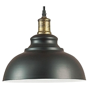 Подвесной светильник Lumion Dario 3675/1 цвет плафона/подвески Черный, цвет арматуры Черный