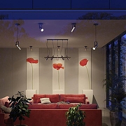 Подвесной светильник Lumion Claire 3714/1 цвет плафона/подвески Золото, цвет арматуры Черный-5