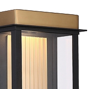 Накладной светильник Favourite Glow 4302-1W цвет плафона/подвески Прозрачный, цвет арматуры Латунь, Черный-4