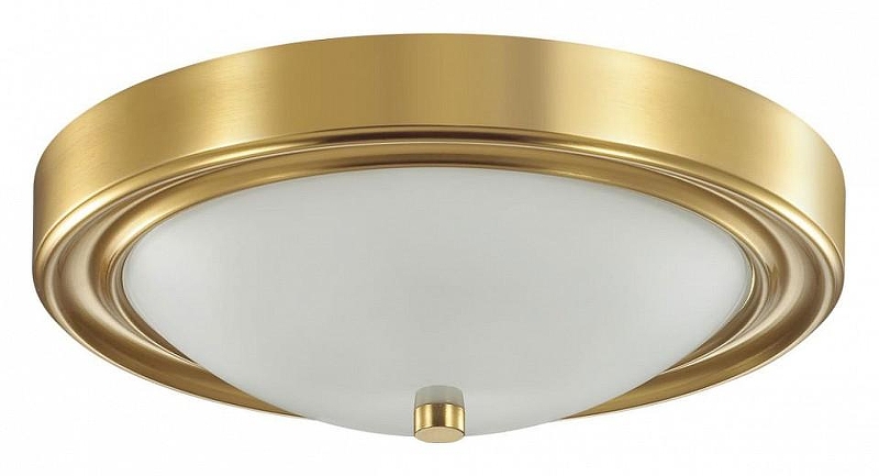 Накладной светильник Lumion Nina 5259/2C 