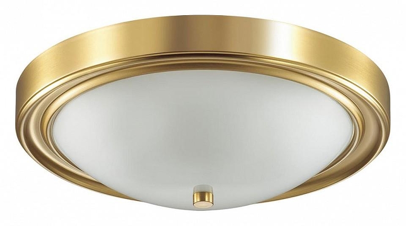 Накладной светильник Lumion Nina 5259/3C 