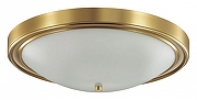 Накладной светильник Lumion Nina 5259/4C цвет плафона/подвески Белый, цвет арматуры Латунь