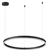 Подвесной светильник Lumion Echo 6530/50L цвет черный-1