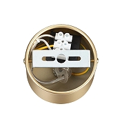 Подвесной светильник Lumion Toronto 6560/4 цвет плафона/подвески Прозрачный, цвет арматуры Золото-5