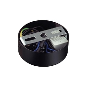 Подвесной светильник Lumion Globe 6568/6L цвет плафона/подвески Хром, Черный, цвет арматуры Черный-5