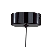 Подвесной светильник Lumion Globe 6568/6L цвет плафона/подвески Хром, Черный, цвет арматуры Черный-8