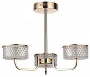 Люстра на штанге Lumion Venice 6579/40CL цвет плафона/подвески Прозрачный, цвет арматуры Золото