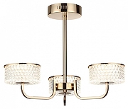 Люстра на штанге Lumion Venice 6579/40CL цвет плафона/подвески Прозрачный, цвет арматуры Золото-2