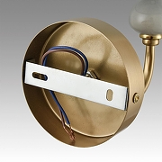 Бра Lumion Anri 6590/1W цвет плафона/подвески Зеленый, цвет арматуры Зеленый, Латунь-4