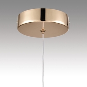 Подвесной светильник Lumion Rimini 8083/1A цвет плафона/подвески Прозрачный, цвет арматуры Золото-6