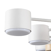Люстра Lumion Rondo 8196/10C цвет плафона/подвески Белый, цвет арматуры Белый, Коричневый-5