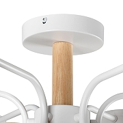 Люстра на штанге Lumion Rondo 8231/6C цвет плафона/подвески Белый, цвет арматуры Белый, Коричневый-6