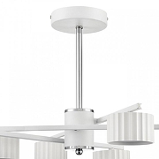 Люстра на штанге Lumion Karina 8241/6C цвет белый, хром-4