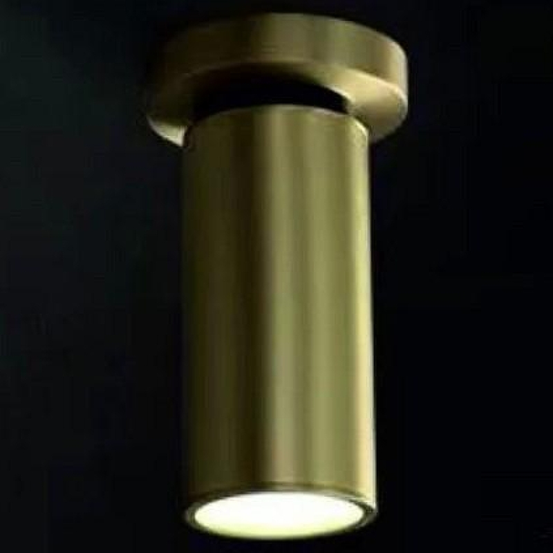 Спот iLamp Plum 8861C BR-BK 