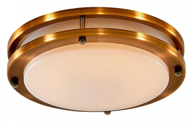 Накладной светильник Citilux Бостон CL709203N 