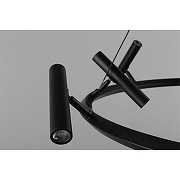 Люстра Aployt Honor APL.067.03.50 цвет плафона/подвески Черный, цвет арматуры Черный-10