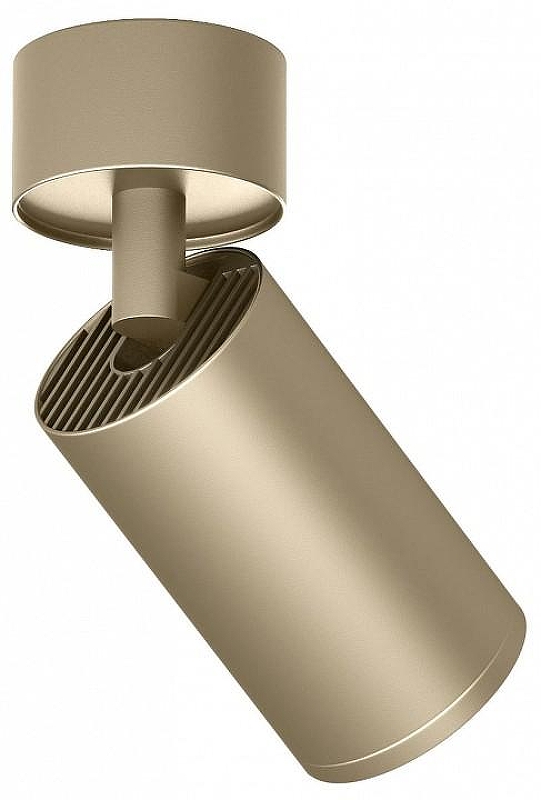 Спот Denkirs TUBE DK2029-GG 