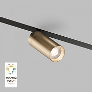 Светильник на штанге Denkirs Smart DK8020-BG цвет плафона/подвески Золото, цвет арматуры Черный-1