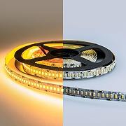 Светодиодная лента Eleganz LUX EL-24V-24WW -4