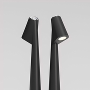 Настольная лампа Elektrostandard Elite Elite черный (TL70250) цвет плафона/подвески Черный, цвет арматуры Черный-3