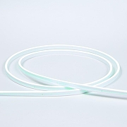 Комплект светодиодной ленты Eleganz LUX EL-N220-9G IP65-1