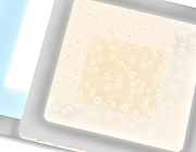 Бра Ambrella Light FA FA426 цвет плафона/подвески Белый, цвет арматуры Белый-3