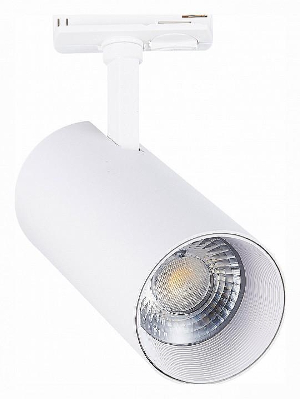 Светильник на штанге ST-Luce Mono ST350.546.30.36 