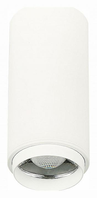 Накладной светильник ST-Luce Zoom ST600.542.10 