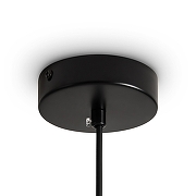 Подвесной светильник Freya Weave FR5492PL-01B цвет плафона/подвески Белый, Бежевый, цвет арматуры Черный-4