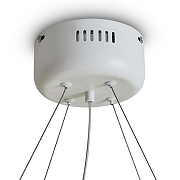 Подвесной светильник Freya Rain FR5546PL-L60W цвет плафона/подвески Прозрачный, цвет арматуры Белый-7