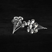 Накладной светильник Lussole Alaska LSP-8951 цвет плафона/подвески Прозрачный, цвет арматуры Хром-1