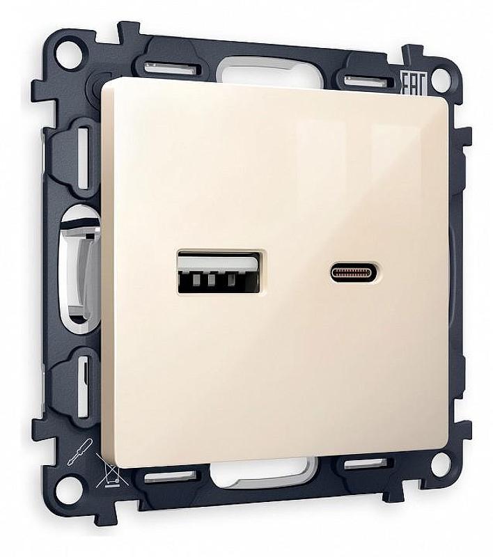 Розетка 2хUSB type A и C без рамки Ambrella Volt Quant MA311010 