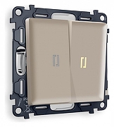 Выключатель проходной двухклавишный с подсветкой Ambrella Volt Quant MA364030 цвет Бежевый, Серый