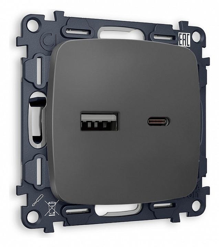 Розетка 2хUSB type A и C без рамки Ambrella Volt Quant MO911010 