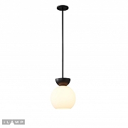 Светильник на штанге iLamp Mono P6079-1 BK+WH -1