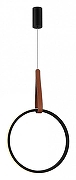 Подвесной светильник ST-Luce Shape SL6131.403.20 цвет плафона/подвески Черный, цвет арматуры Терракот, Черный-1