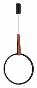 Подвесной светильник ST-Luce Shape SL6131.403.20 цвет плафона/подвески Черный, цвет арматуры Терракот, Черный-2