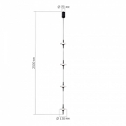 Подвесной светильник ST-Luce Zen1th SL6231.403.04 цвет плафона/подвески Прозрачный, цвет арматуры Черный-2