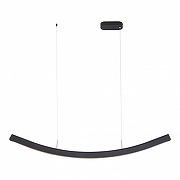 Подвесной светильник ST-Luce Harmony SL6232.403.01 цвет плафона/подвески Черный, цвет арматуры Черный-1