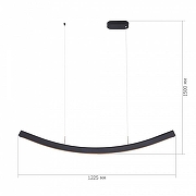 Подвесной светильник ST-Luce Harmony SL6232.403.01 цвет плафона/подвески Черный, цвет арматуры Черный-2