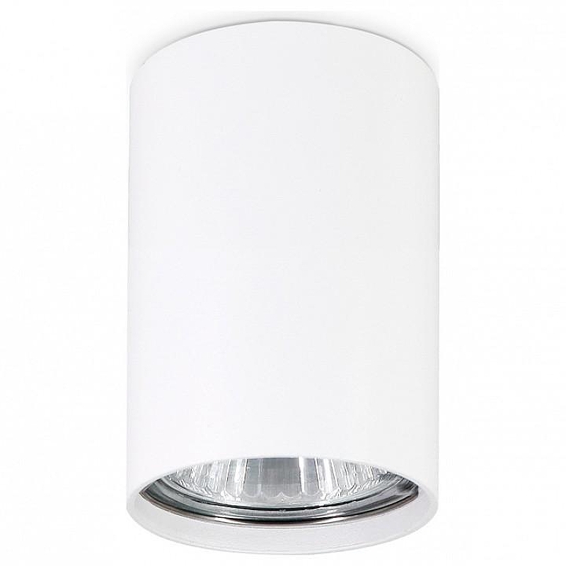 Накладной светильник Ambrella Light TN TN213101 